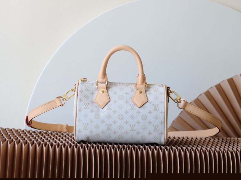 LV Speedy Bags